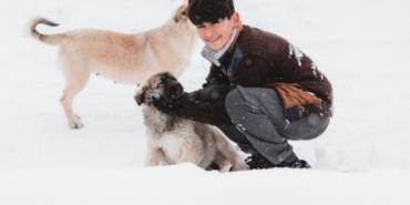 Karaman'da köpeğin saldırısına uğrayan çocuğun sahibi tutuklandı