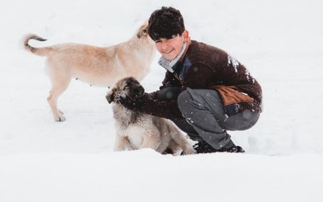 Karaman'da köpeğin saldırısına uğrayan çocuğun sahibi tutuklandı