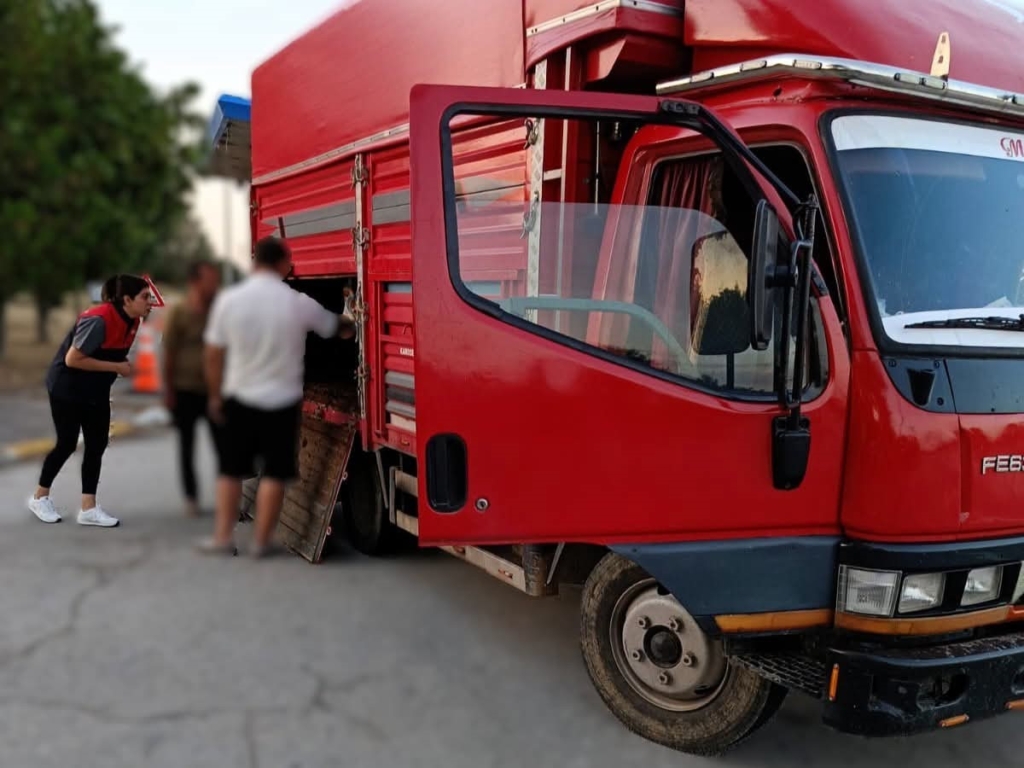 Kırklareli'nde kaçak hayvan sevkine 175 bin lira ceza
