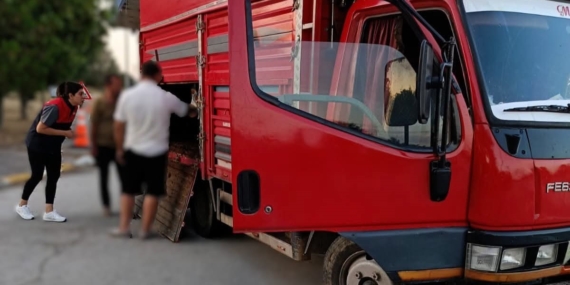 Kırklareli'nde kaçak hayvan sevkine 175 bin lira ceza