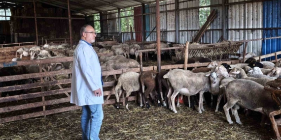 Kocaeli'de Süt Kalitesi ve Hayvan Sağlığı İçin Destekler Devam Ediyor