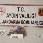 Koçarlı'da 495 gram kubar esrar ele geçirildi