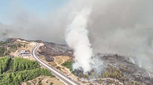 Kumluca'da yangın sonrası hayvanlara acil müdahale