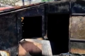 Malatya'da tavuk çiftliğinde yangın: 1650 tavuk telef oldu