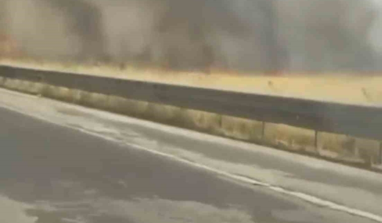Mardin'de itfaiye aracının çarptığı itfaiye eri yaşamını yitirdi