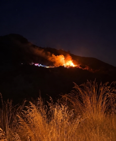 Marmaris'te Asparan yangını şüphelisi yakalandı