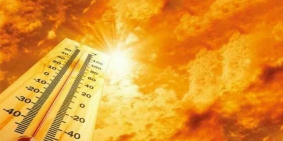 Muğla'da orman yangını riski artıyor