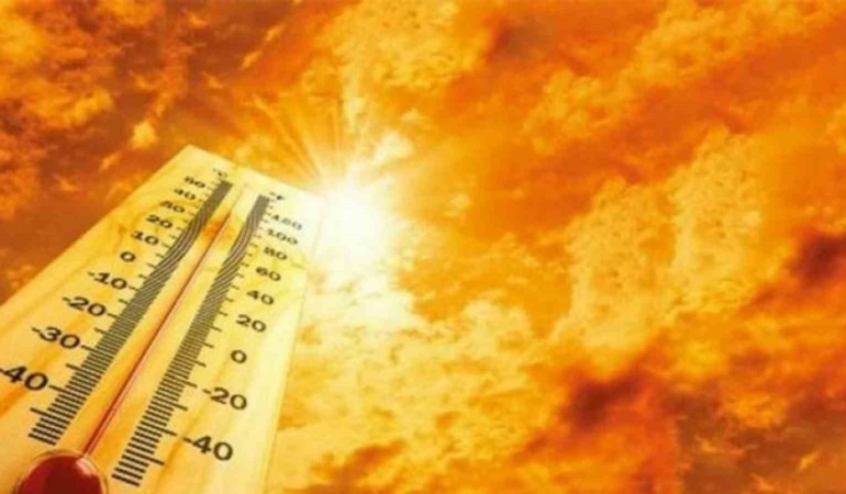 Muğla'da orman yangını riski artıyor