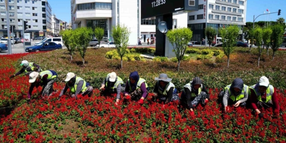 Samsun'da Kadınların Emeğiyle Parklar Güzelleşiyor