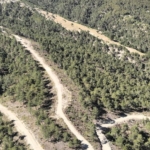Samsun'da orman köylülerine 1 milyar TL'lik destek