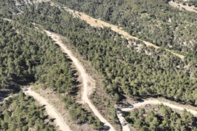 Samsun'da orman köylülerine 1 milyar TL'lik destek