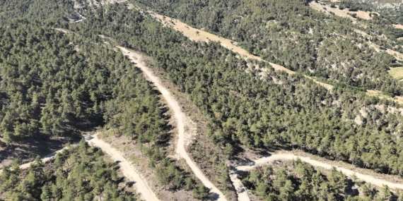 Samsun'da orman köylülerine 1 milyar TL'lik destek