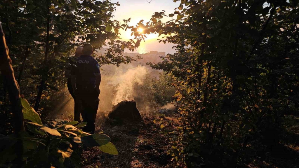 Zonguldak'ta fındık bahçesindeki yangına vatandaşlar müdahale etti