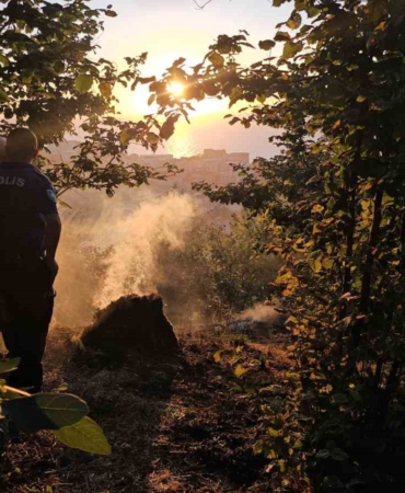 Zonguldak'ta fındık bahçesindeki yangına vatandaşlar müdahale etti