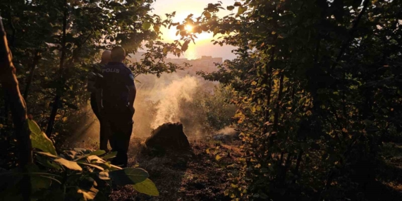 Zonguldak'ta fındık bahçesindeki yangına vatandaşlar müdahale etti