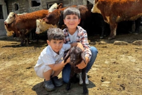 agrida-damizlik-destegiyle-kirmizi-et-uretimi-gucleniyor-q2HKRn57.jpg