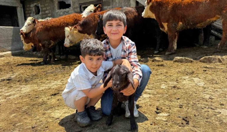 agrida-damizlik-destegiyle-kirmizi-et-uretimi-gucleniyor-q2HKRn57.jpg