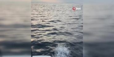 alanyada-ayaklarina-misina-dolanan-martiyi-amator-balikcilar-kurtardi-RjT2hUmW.jpg