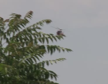 ambulans-helikopter-beyin-kanamasi-geciren-hasta-icin-havalandi-bdHZ28Lj.jpg