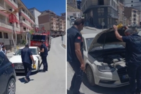 araca-sikisan-yavru-kedi-itfaiye-tarafindan-kurtarildi-vI4IayeT.jpg
