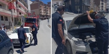 araca-sikisan-yavru-kedi-itfaiye-tarafindan-kurtarildi-vI4IayeT.jpg