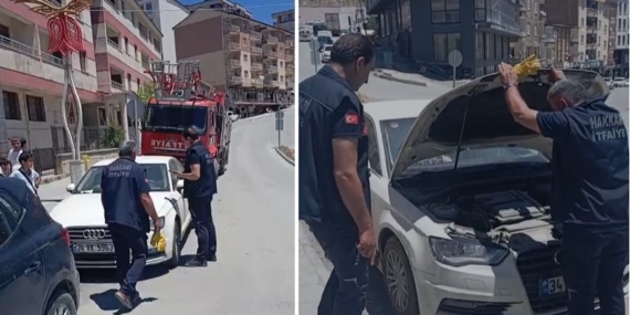 araca-sikisan-yavru-kedi-itfaiye-tarafindan-kurtarildi-vI4IayeT.jpg