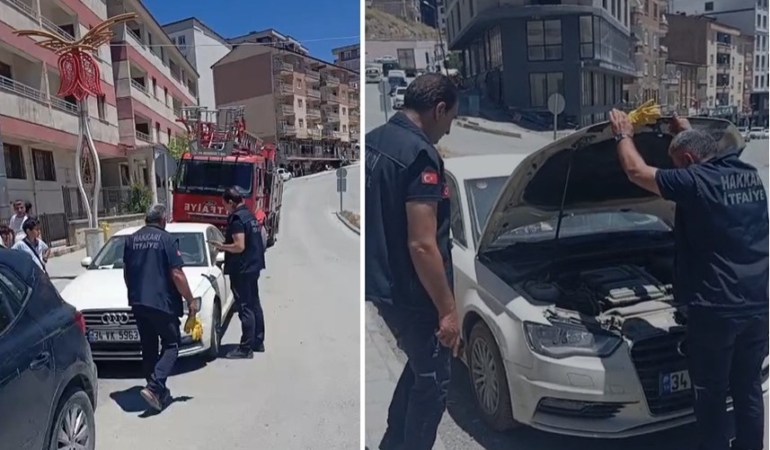 araca-sikisan-yavru-kedi-itfaiye-tarafindan-kurtarildi-vI4IayeT.jpg
