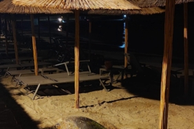 aydinin-kusadasi-ve-didim-kiyilarinda-caretta-hareketliligi-1EYPXaQF.jpg