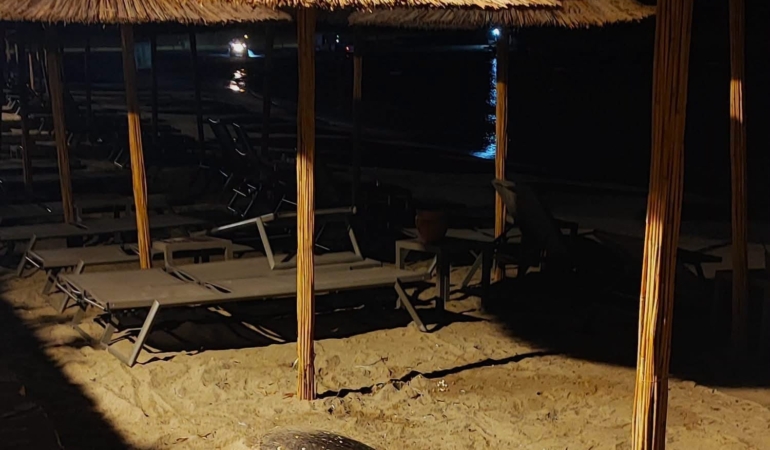 aydinin-kusadasi-ve-didim-kiyilarinda-caretta-hareketliligi-1EYPXaQF.jpg