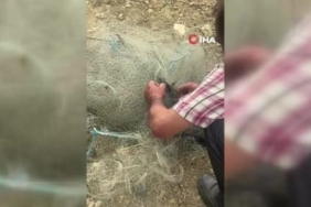 balik-aginda-mahsur-kalan-yilani-elleriyle-kurtardi-A4YSwXHz.jpg