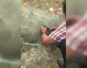 balik-aginda-mahsur-kalan-yilani-elleriyle-kurtardi-A4YSwXHz.jpg