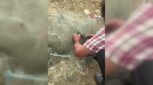 balik-aginda-mahsur-kalan-yilani-elleriyle-kurtardi-A4YSwXHz.jpg