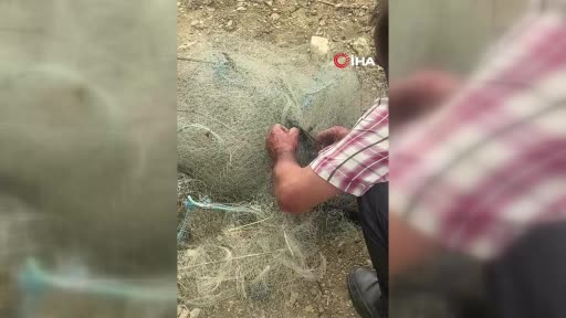 balik-aginda-mahsur-kalan-yilani-elleriyle-kurtardi-A4YSwXHz.jpg