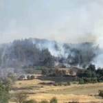 balikesirde-orman-yanginina-mudahale-suruyor-GfBzR2q5.jpg