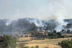 balikesirde-orman-yanginina-mudahale-suruyor-GfBzR2q5.jpg