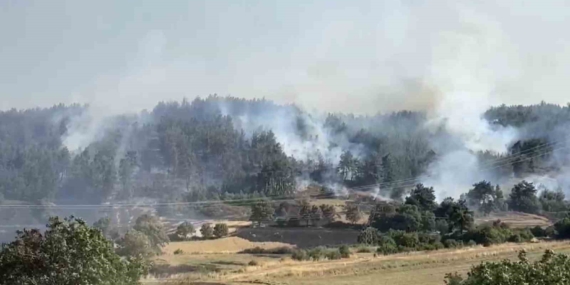 balikesirde-orman-yanginina-mudahale-suruyor-GfBzR2q5.jpg