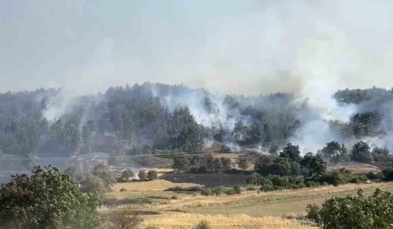 balikesirde-orman-yanginina-mudahale-suruyor-GfBzR2q5.jpg