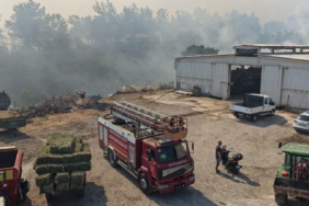 balikesirde-uc-ayri-noktada-yangin-OWg4LiDD.jpg