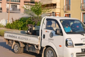 basiskelede-sinek-ve-haserelere-karsi-ilaclama-calismalari-suruyor-KQs6TP4n.jpg
