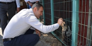 bayindirda-hayvan-bakim-evi-ve-dogal-yasam-alaninda-inceleme-JGJCINrR.jpg
