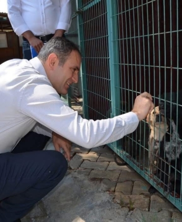 bayindirda-hayvan-bakim-evi-ve-dogal-yasam-alaninda-inceleme-JGJCINrR.jpg