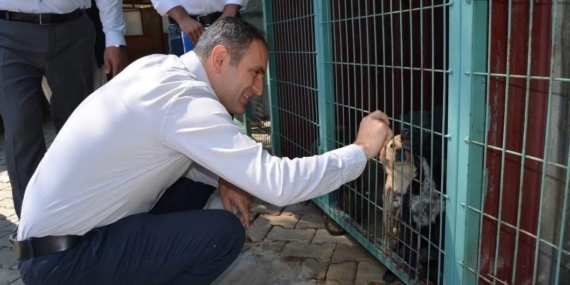 bayindirda-hayvan-bakim-evi-ve-dogal-yasam-alaninda-inceleme-JGJCINrR.jpg