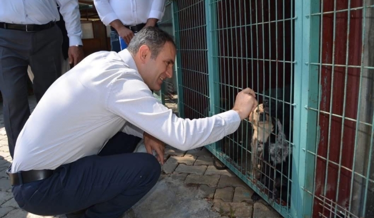 bayindirda-hayvan-bakim-evi-ve-dogal-yasam-alaninda-inceleme-JGJCINrR.jpg