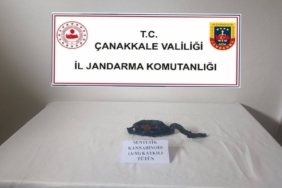 canakkale-ve-5-ilcede-uyusturucu-operasyonlarinda-15-gozalti-UcP4fqr8.jpg