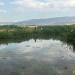 dereye-dusen-genc-ile-onu-kurtarmaya-calisan-kuzeni-hayatini-kaybetti-weRp5YUW.jpg