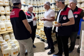 elazigda-tulum-peynirinde-uretim-sureci-yerinde-incelendi-eay7n4kg.jpg