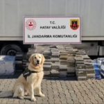 esya-tasinan-tir-dorsesinden-3-bin-karton-kacak-sigara-cikti-a4eRNma9.jpg