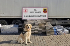 esya-tasinan-tir-dorsesinden-3-bin-karton-kacak-sigara-cikti-a4eRNma9.jpg