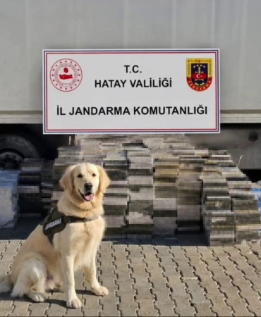 esya-tasinan-tir-dorsesinden-3-bin-karton-kacak-sigara-cikti-a4eRNma9.jpg