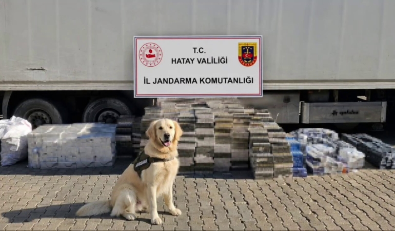 esya-tasinan-tir-dorsesinden-3-bin-karton-kacak-sigara-cikti-a4eRNma9.jpg